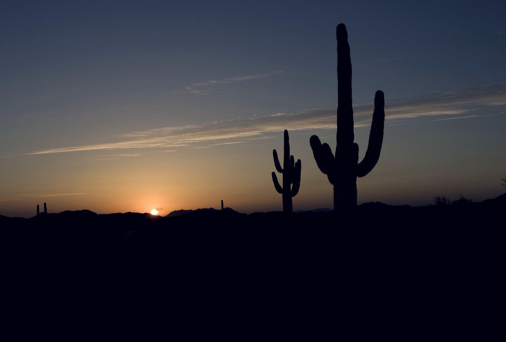 Saguaro cacti silhouetted against a sunset over the Sonoran Desert in Arizona.